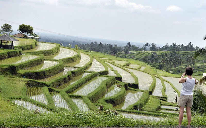 Tabanan, Lumbung Padinya Bali dengan Keindahan Alam Lengkap